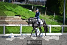 ref. photo 3558366