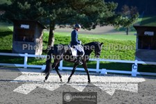 ref. photo 3558379