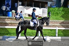 ref. photo 3558383