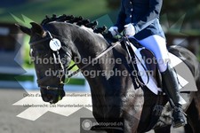 ref. photo 3558390