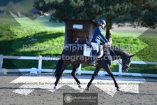 ref. photo 3558400