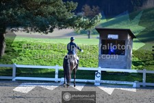 ref. photo 3558408
