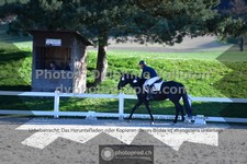 ref. photo 3558409