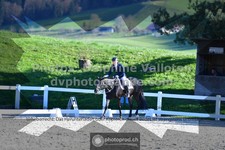 ref. photo 3558410