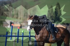 ref. photo 3558416