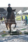 ref. photo 3558422