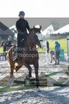 ref. photo 3558423