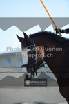 ref. photo 3558431