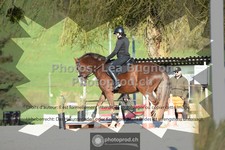 ref. photo 3558433