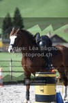 ref. photo 3558437