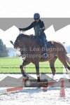 ref. photo 3558444