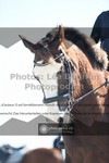 ref. photo 3558447