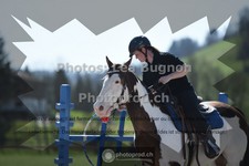 ref. photo 3558453