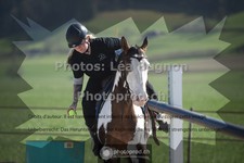 ref. photo 3558455