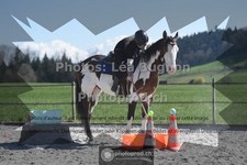 ref. photo 3558461