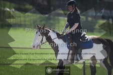 ref. photo 3558467