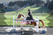 ref. photo 3558470