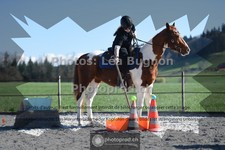 ref. photo 3558478
