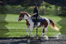 ref. photo 3558483