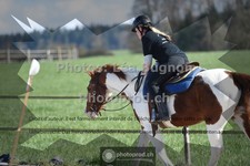 ref. photo 3558487