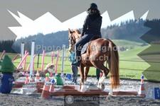 ref. photo 3558495