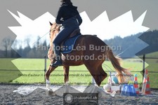 ref. photo 3558499