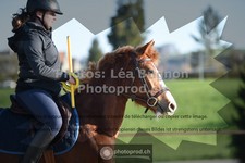 ref. photo 3558500