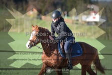 ref. photo 3558502