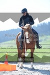 ref. photo 3558515