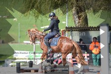 ref. photo 3558518