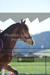 ref. photo 3558529