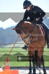ref. photo 3558533
