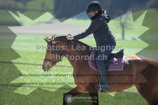 ref. photo 3558540
