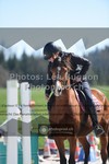 ref. photo 3558543