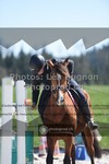 ref. photo 3558544