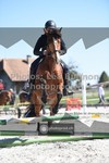 ref. photo 3558546
