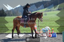 ref. photo 3558548