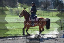 ref. photo 3558551