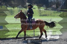 ref. photo 3558552