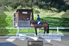 ref. photo 3558554