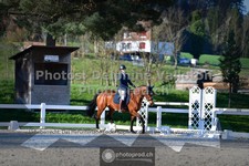 ref. photo 3558556