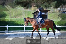 ref. photo 3558562