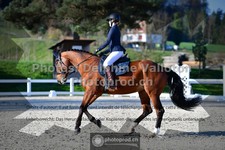 ref. photo 3558578