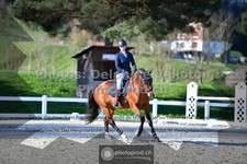 ref. photo 3558580