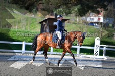 ref. photo 3558586