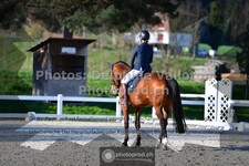 ref. photo 3558595