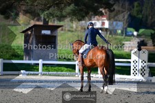 ref. photo 3558596