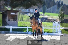 ref. photo 3558603