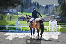 ref. photo 3558606