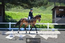 ref. photo 3558607